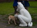 DSC_0020.jpg